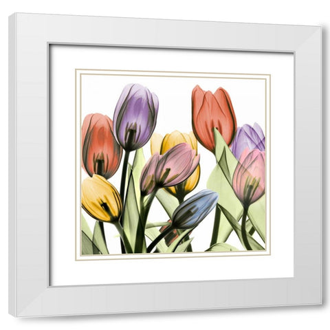Tulipscape 2 White Modern Wood Framed Art Print with Double Matting by Koetsier, Albert