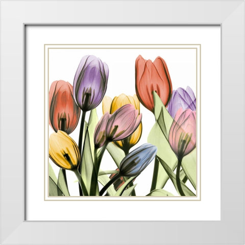Tulipscape 2 White Modern Wood Framed Art Print with Double Matting by Koetsier, Albert