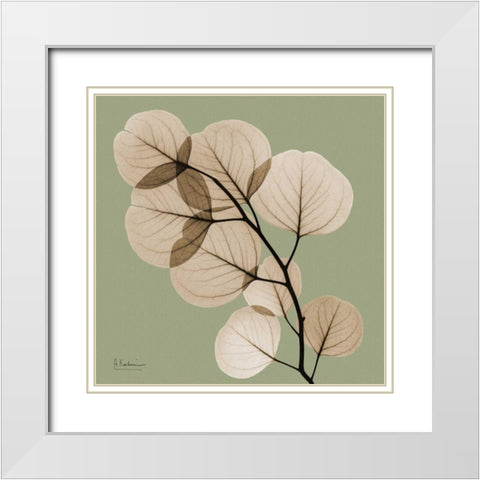 Eucalyptus White Modern Wood Framed Art Print with Double Matting by Koetsier, Albert
