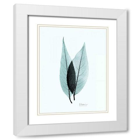 Caplulin Cherry Teal White Modern Wood Framed Art Print with Double Matting by Koetsier, Albert