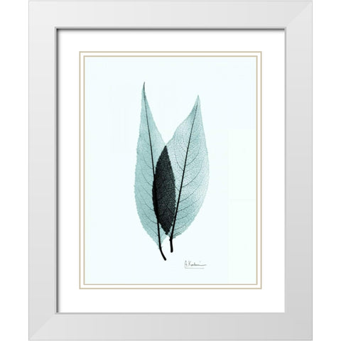 Caplulin Cherry Teal White Modern Wood Framed Art Print with Double Matting by Koetsier, Albert
