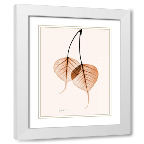 Bodhi Tree orange White Modern Wood Framed Art Print with Double Matting by Koetsier, Albert