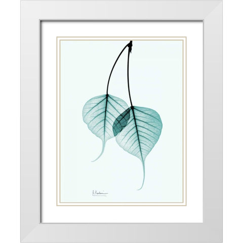 Bodhi Tree Teal White Modern Wood Framed Art Print with Double Matting by Koetsier, Albert