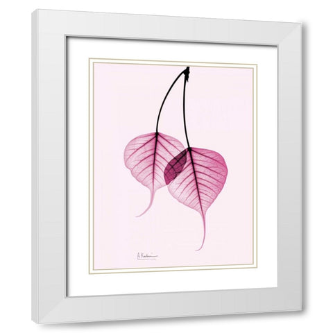 Bodhi Tree Pink White Modern Wood Framed Art Print with Double Matting by Koetsier, Albert