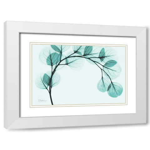 Teal Eucalyptus White Modern Wood Framed Art Print with Double Matting by Koetsier, Albert