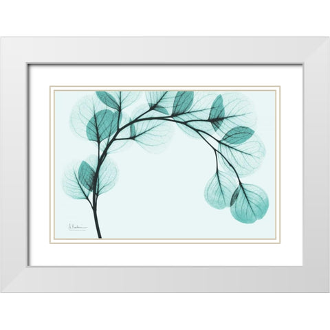 Teal Eucalyptus White Modern Wood Framed Art Print with Double Matting by Koetsier, Albert