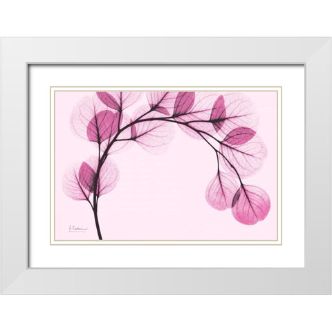 Pink Eucalyptus White Modern Wood Framed Art Print with Double Matting by Koetsier, Albert
