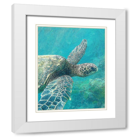 Sea Turtle 1 White Modern Wood Framed Art Print with Double Matting by Bailey, Ann