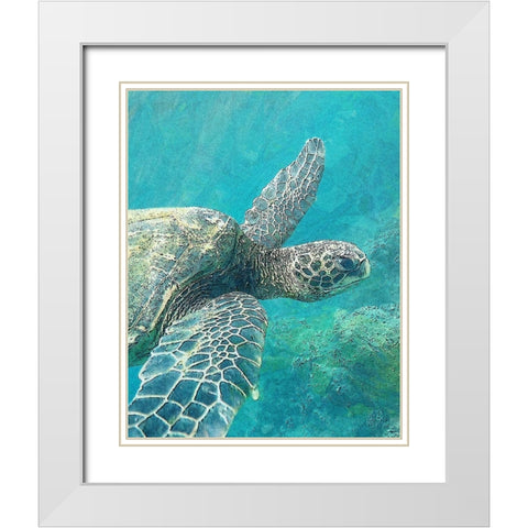 Sea Turtle 1 White Modern Wood Framed Art Print with Double Matting by Bailey, Ann