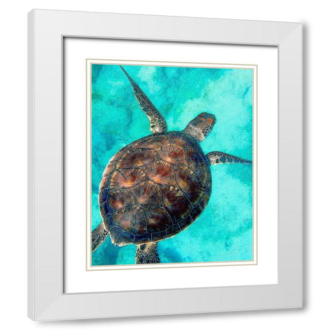 Sea Turtle 2 White Modern Wood Framed Art Print with Double Matting by Bailey, Ann