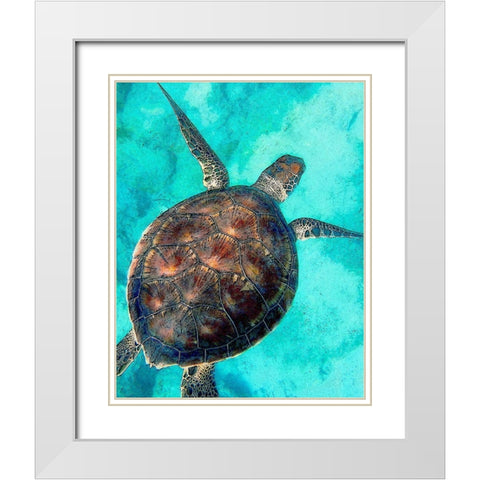 Sea Turtle 2 White Modern Wood Framed Art Print with Double Matting by Bailey, Ann