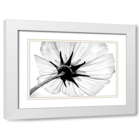 Anemone White Modern Wood Framed Art Print with Double Matting by Bailey, Ann