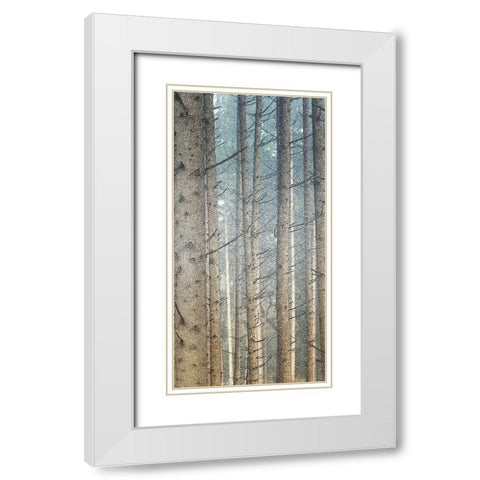 Forest Dreaming 2 White Modern Wood Framed Art Print with Double Matting by Bailey, Ann
