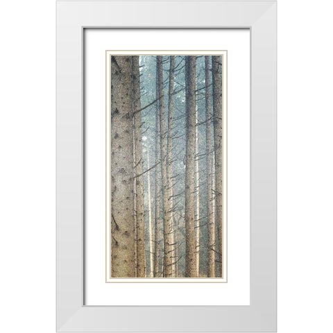 Forest Dreaming 2 White Modern Wood Framed Art Print with Double Matting by Bailey, Ann
