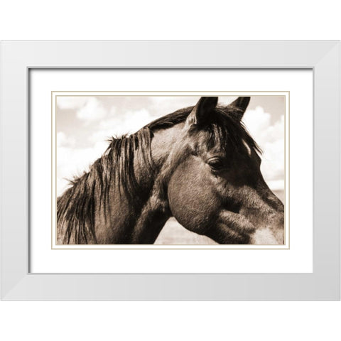 Solitary Horse White Modern Wood Framed Art Print with Double Matting by Alvarez, Cynthia