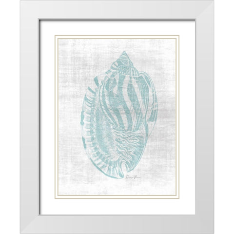 Beautiful Shells 1 White Modern Wood Framed Art Print with Double Matting by Brown, Denise