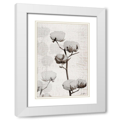 Cotton Stem 1 White Modern Wood Framed Art Print with Double Matting by Brown, Denise