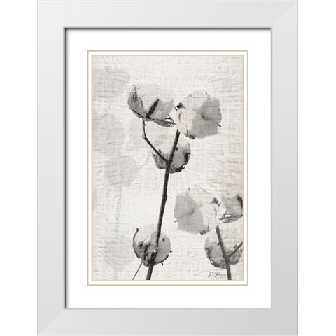 Cotton Stem 2 White Modern Wood Framed Art Print with Double Matting by Brown, Denise