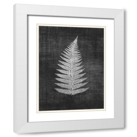 Astor Fern 1 White Modern Wood Framed Art Print with Double Matting by Brown, Denise