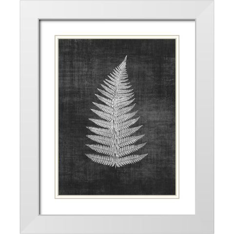 Astor Fern 1 White Modern Wood Framed Art Print with Double Matting by Brown, Denise