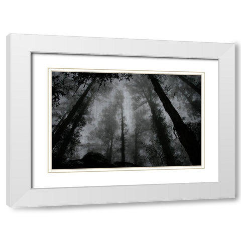Trees and Clouds 2 White Modern Wood Framed Art Print with Double Matting by Brown, Denise