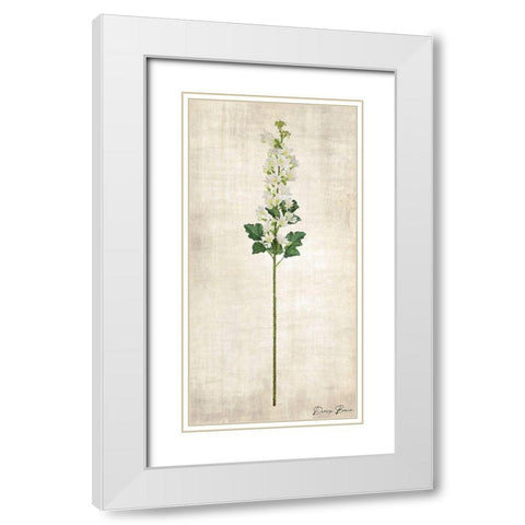 Stem 4 White Modern Wood Framed Art Print with Double Matting by Brown, Denise