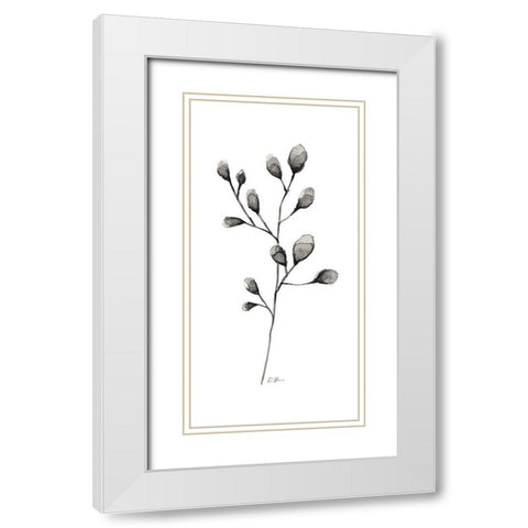 Botanical Stem 2 White Modern Wood Framed Art Print with Double Matting by Brown, Denise
