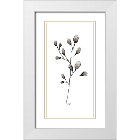 Botanical Stem 2 White Modern Wood Framed Art Print with Double Matting by Brown, Denise