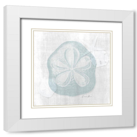 Sand Dollar 2 White Modern Wood Framed Art Print with Double Matting by Brown, Denise