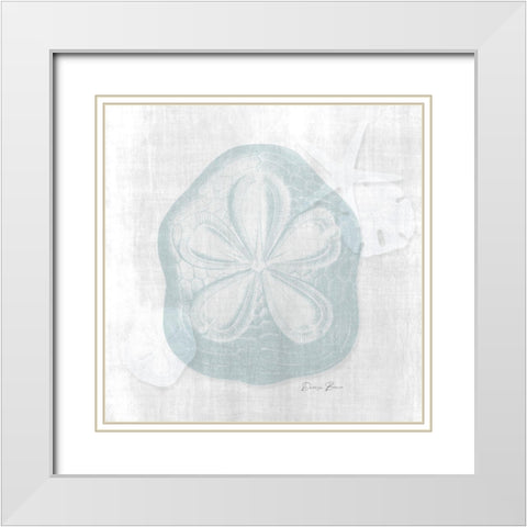Sand Dollar 2 White Modern Wood Framed Art Print with Double Matting by Brown, Denise