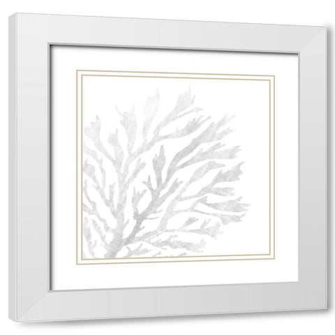 White Seaweed 2 White Modern Wood Framed Art Print with Double Matting by Brown, Denise