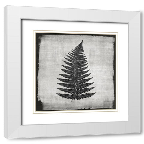 Noir Fern 1 White Modern Wood Framed Art Print with Double Matting by Brown, Denise