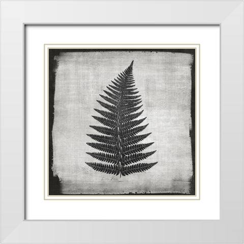 Noir Fern 1 White Modern Wood Framed Art Print with Double Matting by Brown, Denise