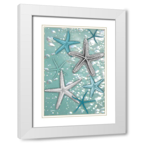 Starfish Bubbles White Modern Wood Framed Art Print with Double Matting by Stimson, Diane