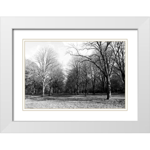 Path Way White Modern Wood Framed Art Print with Double Matting by Frances, Stephanie