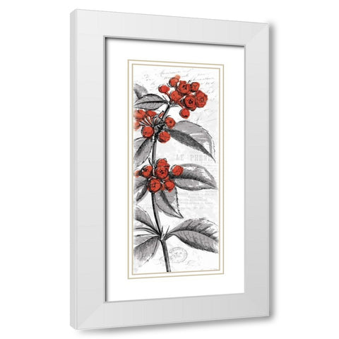 Red Flower White Modern Wood Framed Art Print with Double Matting by Grey, Jace