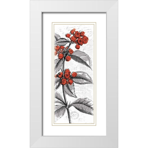 Red Flower White Modern Wood Framed Art Print with Double Matting by Grey, Jace