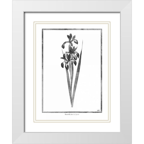 Butterfly Iris White Modern Wood Framed Art Print with Double Matting by Grey, Jace