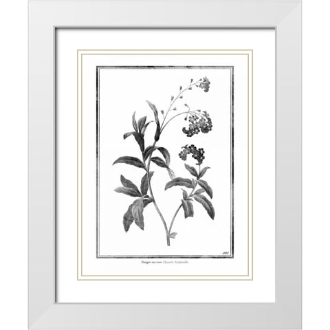 Forget me not White Modern Wood Framed Art Print with Double Matting by Grey, Jace