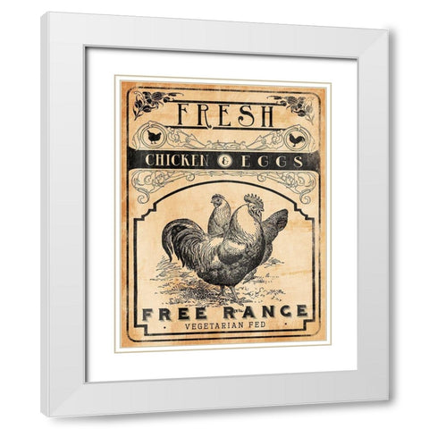 Chicken Eggs White Modern Wood Framed Art Print with Double Matting by Grey, Jace