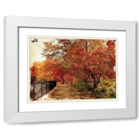 NY Fall White Modern Wood Framed Art Print with Double Matting by Grey, Jace