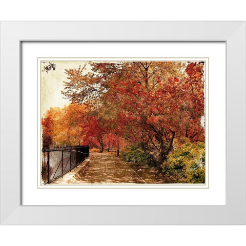 NY Fall White Modern Wood Framed Art Print with Double Matting by Grey, Jace