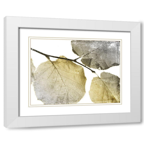 Classic Leaves White White Modern Wood Framed Art Print with Double Matting by Grey, Jace