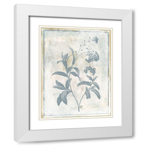 Sky Floral Two White Modern Wood Framed Art Print with Double Matting by Grey, Jace