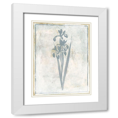 Sky Floral Four White Modern Wood Framed Art Print with Double Matting by Grey, Jace