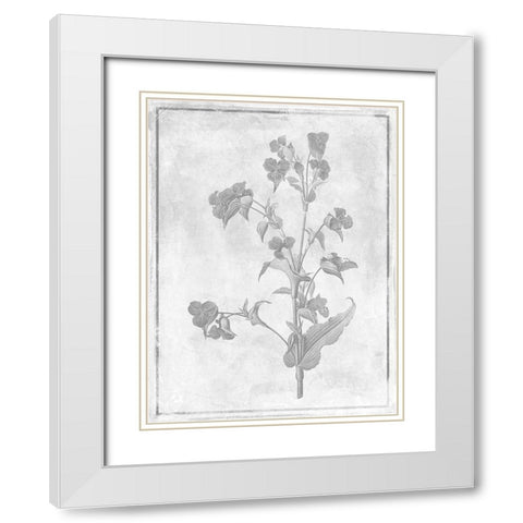 Monochrome Floral Cleaner 1 White Modern Wood Framed Art Print with Double Matting by Grey, Jace