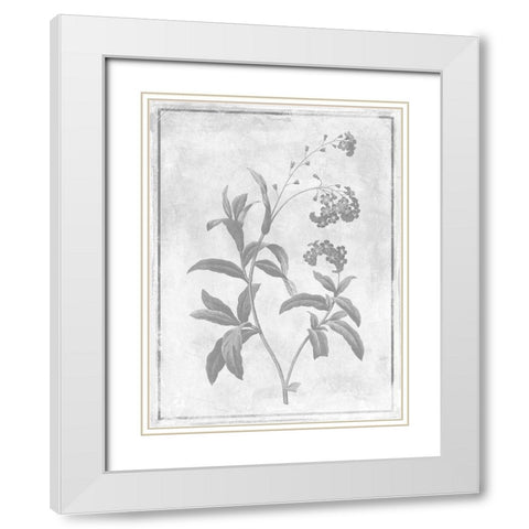 Monochrome Floral Cleaner 2 White Modern Wood Framed Art Print with Double Matting by Grey, Jace