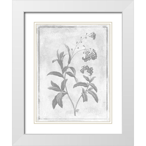 Monochrome Floral Cleaner 2 White Modern Wood Framed Art Print with Double Matting by Grey, Jace