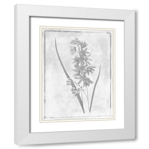 Monochrome Floral Cleaner 3 White Modern Wood Framed Art Print with Double Matting by Grey, Jace