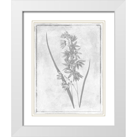 Monochrome Floral Cleaner 3 White Modern Wood Framed Art Print with Double Matting by Grey, Jace